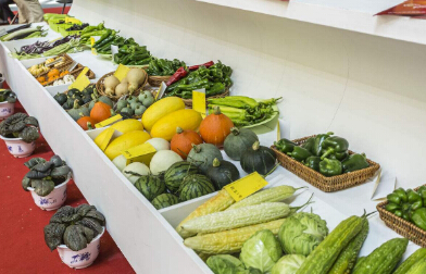 又一波關(guān)稅下調(diào)來襲食品進(jìn)口報(bào)關(guān)迎來新機(jī)遇