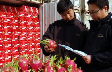 關(guān)于食品進(jìn)口報關(guān)你應(yīng)該知道的幾點知識