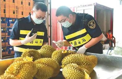 水果進口都要注意哪些問題？進口報關(guān)都需要哪些資料？